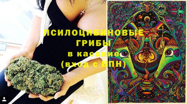 спиды Михайловка