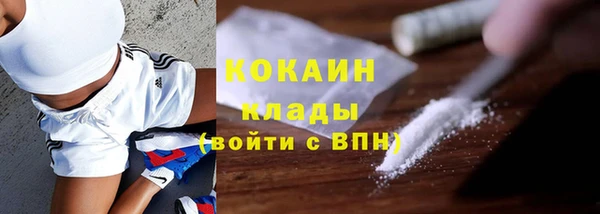 ГАЛЛЮЦИНОГЕННЫЕ ГРИБЫ Медвежьегорск