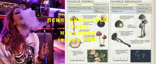 бутик Михайловск