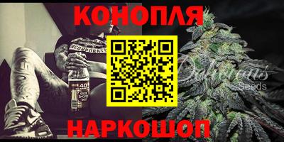 Альфа ПВП Моздок