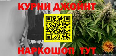 Альфа ПВП Моздок