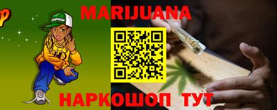 Альфа ПВП Моздок