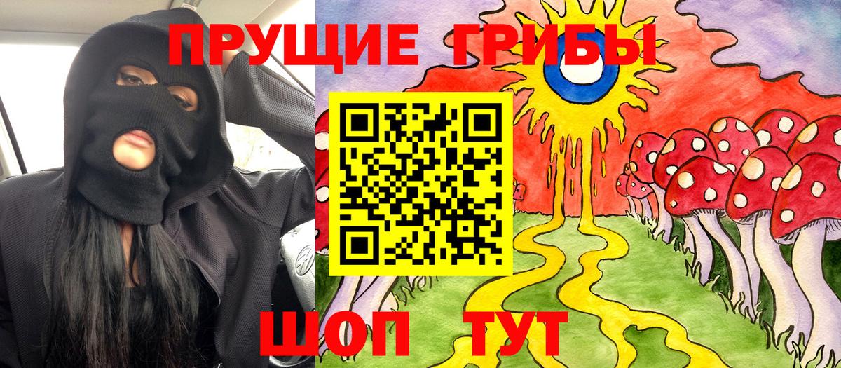 Псилоцибиновые грибы GOLDEN TEACHER Советская Гавань