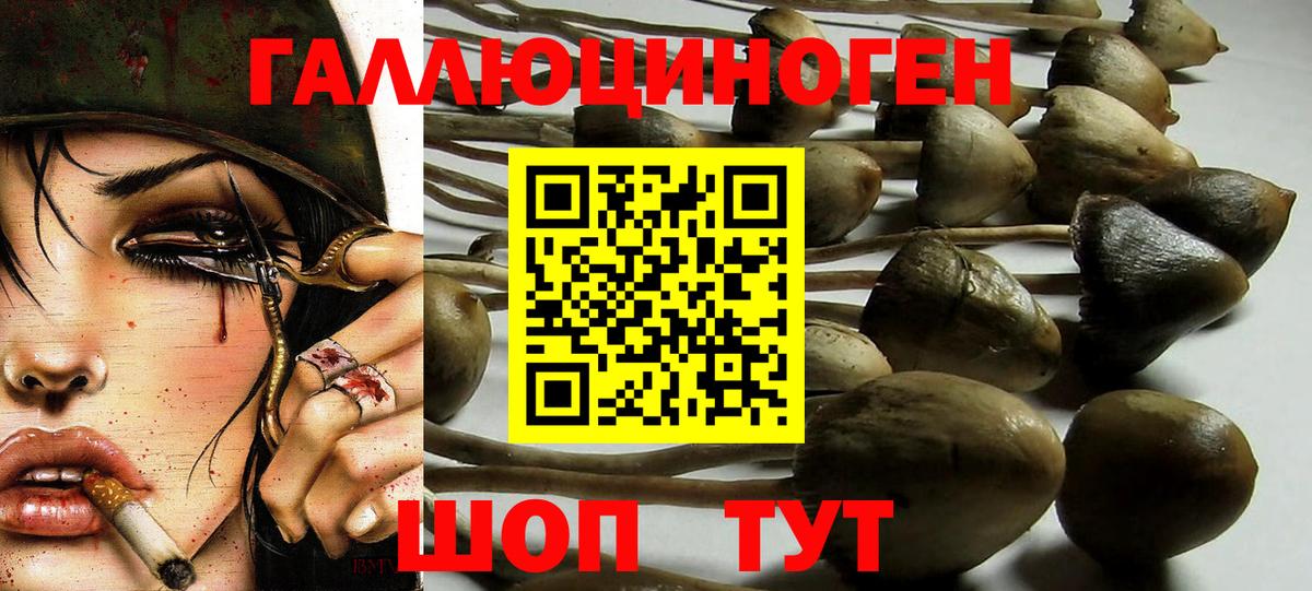 Галлюциногенные грибы Psilocybe  Вход с VPN  Советская Гавань  Галлюциногенные грибы Magic Shrooms 