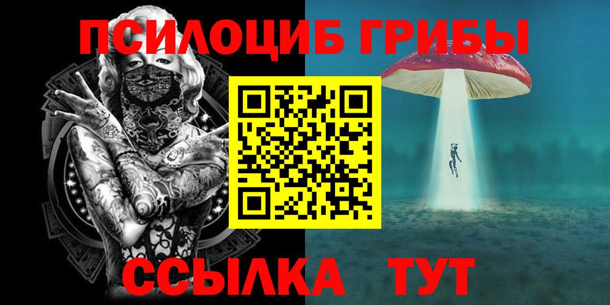 Псилоцибиновые грибы Psilocybe  купить закладку  Советская Гавань 